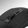 Mouse DN-N616