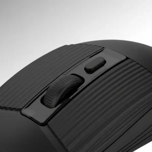 Mouse DN-N616