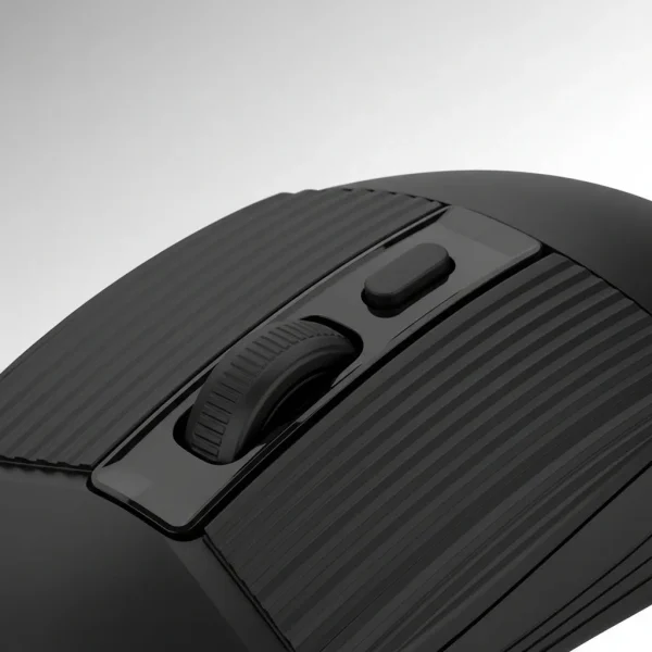Mouse DN-N616